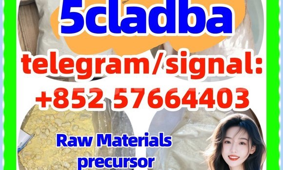 Medium with watermark 51