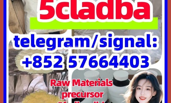 Medium with watermark 551