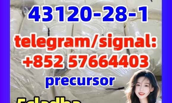 Medium with watermark 5431 1 