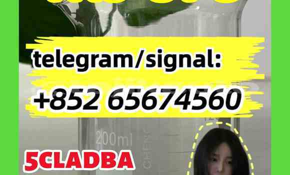 Buy CAS 1119-51-3 in Chorku in Sughd Buy CAS 1119-51-3 in Chorku in Sughd