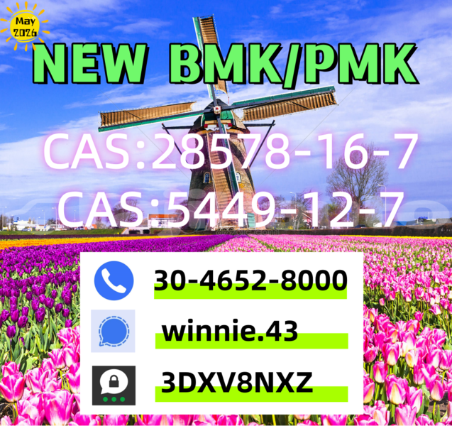 Big with watermark 5.8