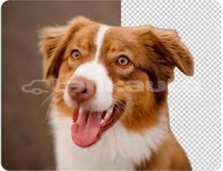 Big with watermark download