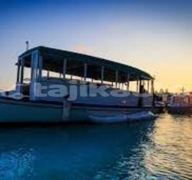 Big with watermark images
