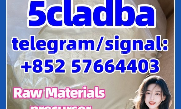 Buy 5cladba 1119-51-3 in Dangara in Khatlon Buy 5cladba 1119-51-3 in Dangara in Khatlon
