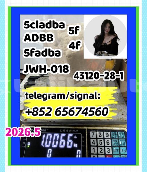 Big with watermark suoyou%e6%89%80%e6%9c%892 %e5%89%af%e6%9c%acsfgdht %e5%89%af%e6%9c%ac
