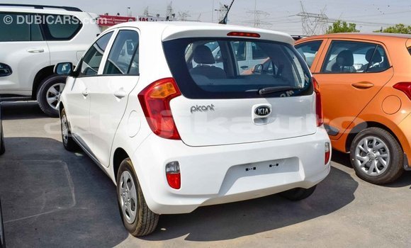 Buy Import Kia Picanto White Car in Import - Dubai in Dushanbe Buy Import Kia Picanto White Car in Import - Dubai in Dushanbe