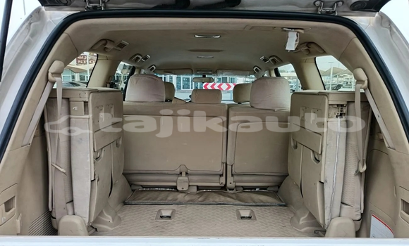 Buy New Toyota Land Cruiser White Car in Dushanbe in Dushanbe Buy New Toyota Land Cruiser White Car in Dushanbe in Dushanbe
