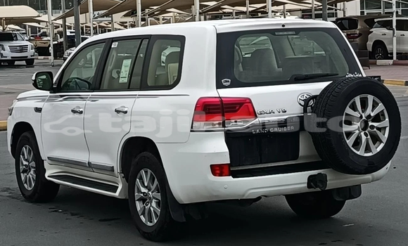 Buy New Toyota Land Cruiser White Car in Dushanbe in Dushanbe Buy New Toyota Land Cruiser White Car in Dushanbe in Dushanbe