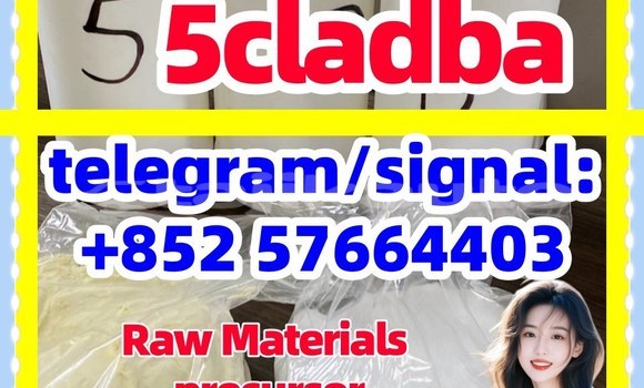 Medium with watermark 52