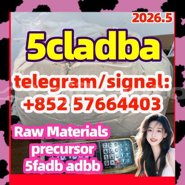 Big with watermark 5cl5