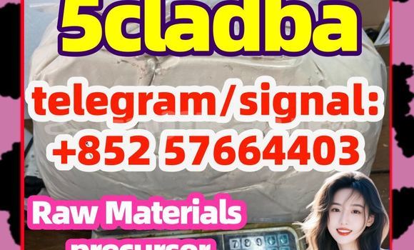 Medium with watermark 5cl5