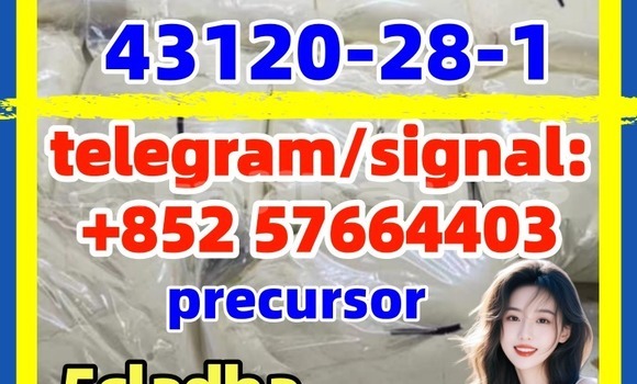 Medium with watermark 43120