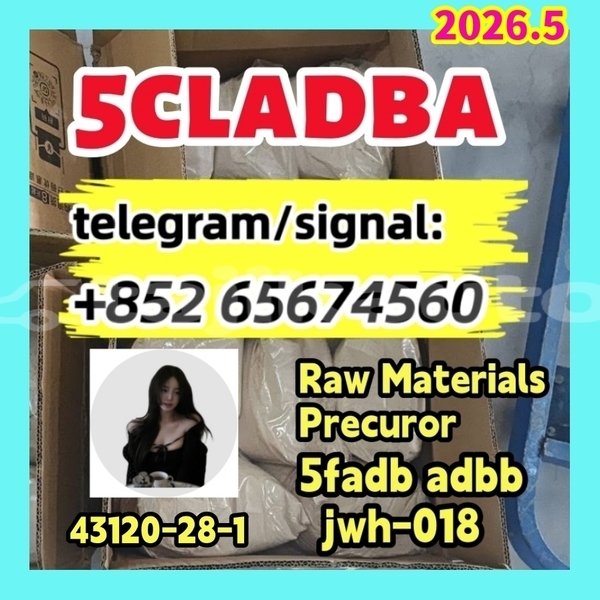 Big with watermark photo 2026 03 04 10 21 30 %e5%89%af%e6%9c%ac %e5%89%af%e6%9c%ac