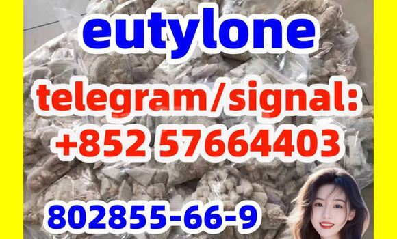 Medium with watermark eu1