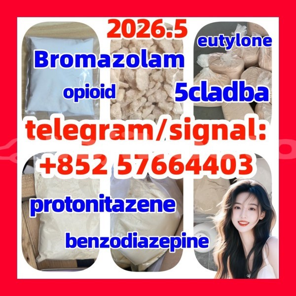 Big with watermark z2