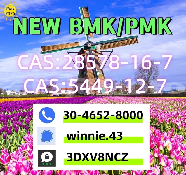 Big with watermark alfa romeo 155 sughd chkalov 23488