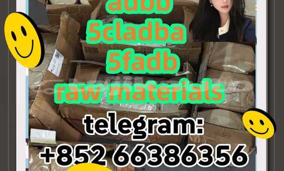 Medium with watermark 7
