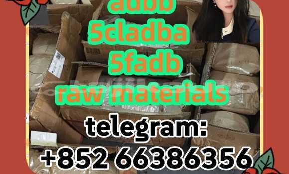 Medium with watermark 8