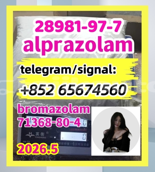 Big with watermark alp1 %e5%89%af%e6%9c%ac