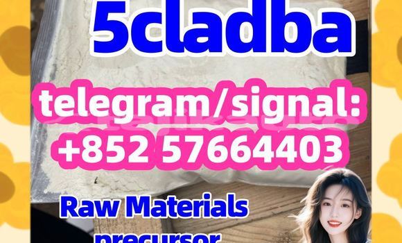 Medium with watermark 55