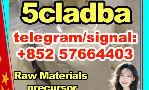 Medium with watermark 52