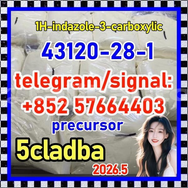 Big with watermark 43120
