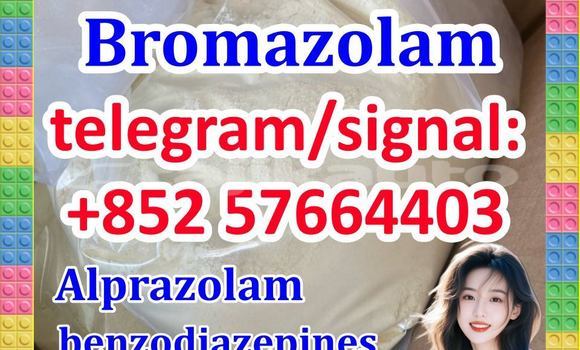 Medium with watermark b1