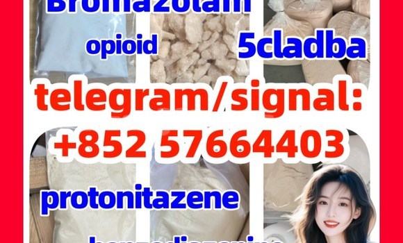 Medium with watermark z2