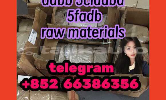 Medium with watermark 2