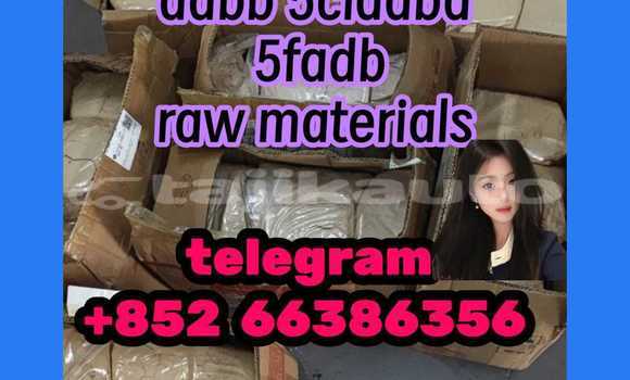 Medium with watermark 6