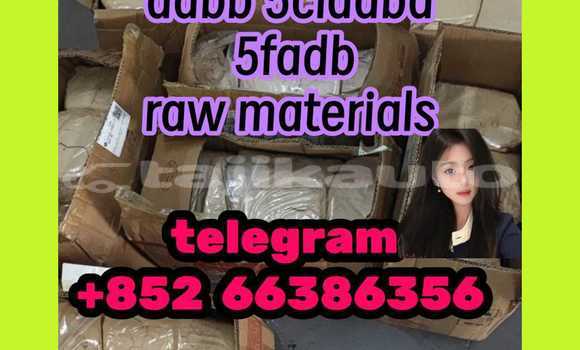 Medium with watermark 7