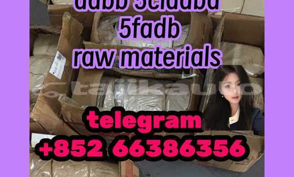 Medium with watermark 8