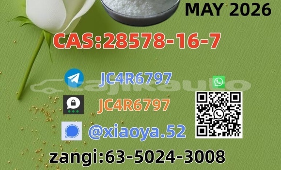 Best Price CAS 28578-16-7