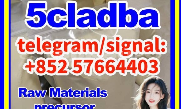 Medium with watermark 51