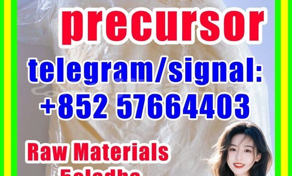 Medium with watermark 52