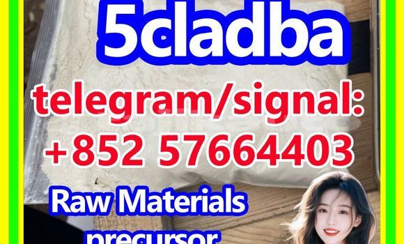 Medium with watermark 53