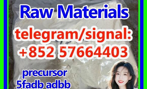 Medium with watermark 55