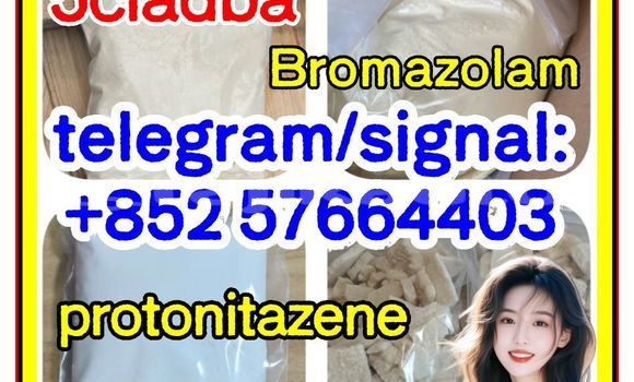 Medium with watermark z1