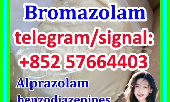Medium with watermark b1