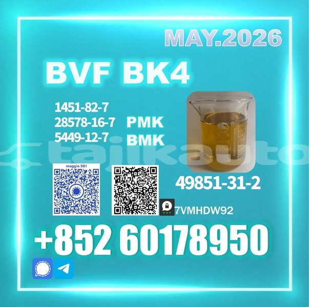 Big with watermark bajaj qute sughd ayni 24162