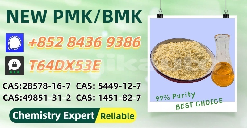 Big with watermark bedford cfs sughd chorku 24170