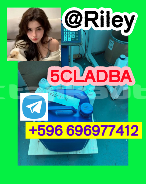 Big with watermark 3.4