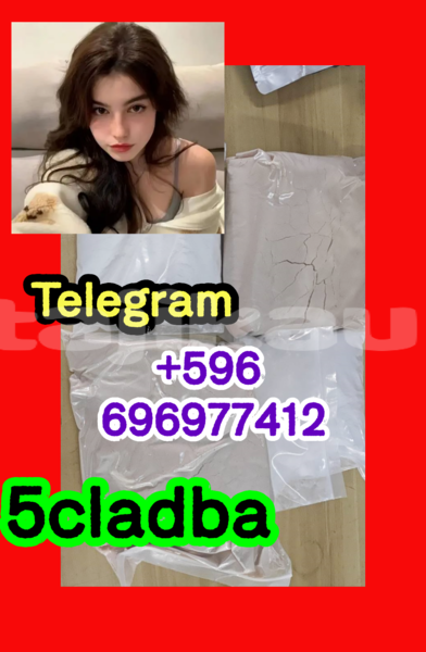 Big with watermark 3.2