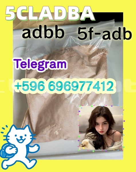 Big with watermark 7.3