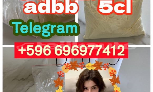Medium with watermark 5