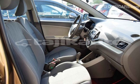 Buy Import Kia Picanto Brown Car in Import - Dubai in Dushanbe Buy Import Kia Picanto Brown Car in Import - Dubai in Dushanbe
