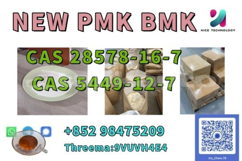 Big with watermark alpina b12 sughd ganchi 24310