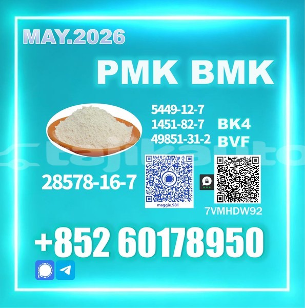 Big with watermark bmw 507 sughd chkalov 24428