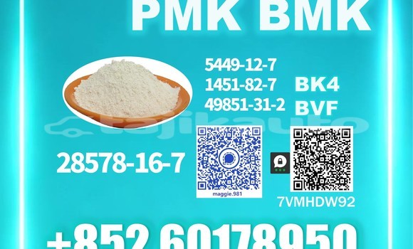 Buy Used BMW 507 Black Car in Chkalov in Sughd