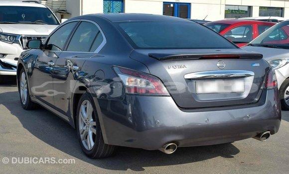 Buy Import Nissan Maxima Other Car in Import - Dubai in Dushanbe Buy Import Nissan Maxima Other Car in Import - Dubai in Dushanbe